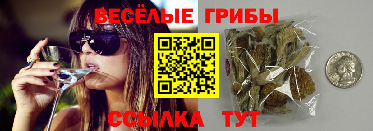 Галлюциногенные грибы MAGIC MUSHROOMS  как найти закладки  Михайловск  Вход с VPN 